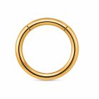 Cilla Jewels Goudkleurige Gladde Damesneusring met Clickersluiting