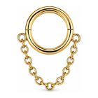 LGT JWLS Goudkleurige Segmentring Piercing met Enkele Ketting voor Neus en Kraakbeen