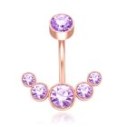 LGT JWLS Piercing in Anker vorm - Paars Kristal & RosÃ© Goud