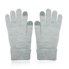 LGT JWLS Dames Touchscreen Handschoenen in Grijs