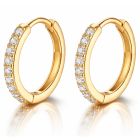 LGT JWLS Oorringen Goudkleurig Zirkonia