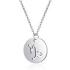 Sterrenbeeld Steenbok Dames Ketting Zilverkleurig Ronde Hanger