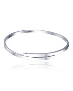 Damesarmband Edelstaal Zilverkleurig