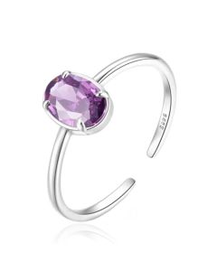 Luxueuze Elenza Zilveren Ring met Paarse Kristal – Onberispelijke Klasse voor Dames